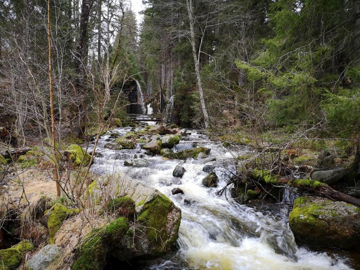 C2 Albmatte-Fewo , Hallenbad Aussenbecken Massagen Nebenan Санкт-Блазиен Экстерьер фото