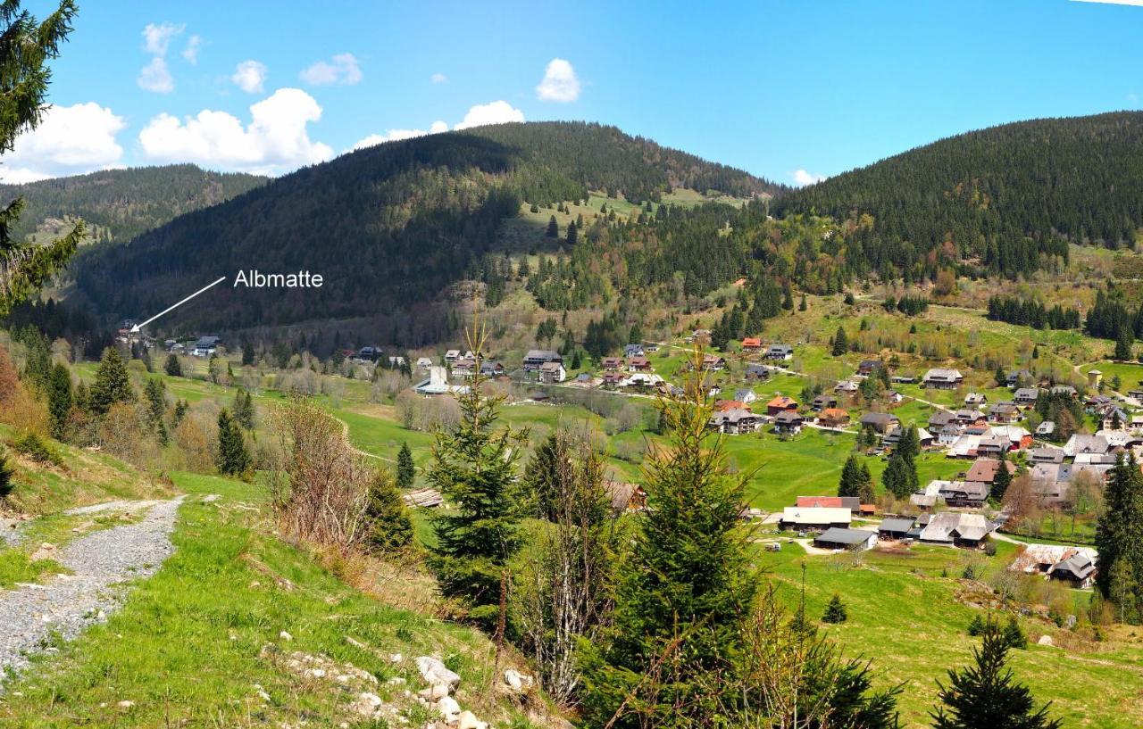 C2 Albmatte-Fewo , Hallenbad Aussenbecken Massagen Nebenan Санкт-Блазиен Экстерьер фото