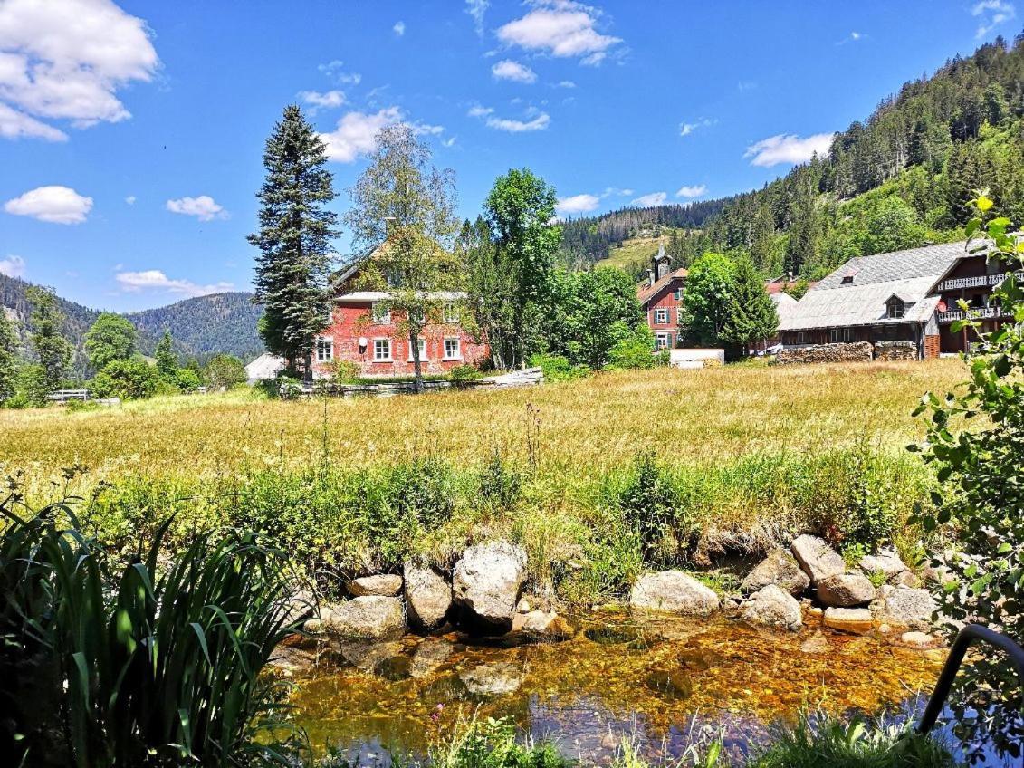 C2 Albmatte-Fewo , Hallenbad Aussenbecken Massagen Nebenan Санкт-Блазиен Экстерьер фото