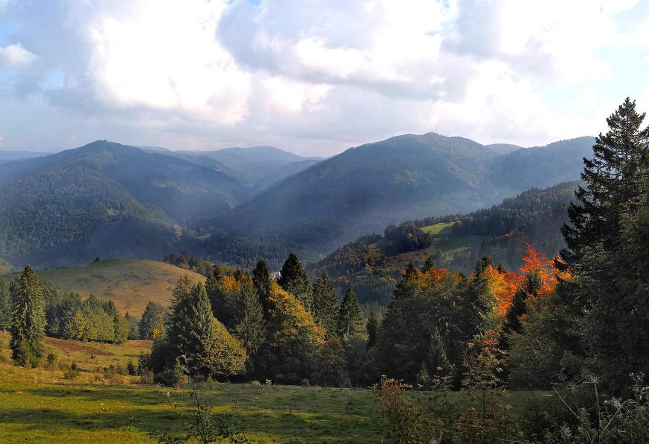 C2 Albmatte-Fewo , Hallenbad Aussenbecken Massagen Nebenan Санкт-Блазиен Экстерьер фото
