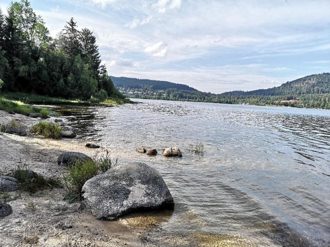 C2 Albmatte-Fewo , Hallenbad Aussenbecken Massagen Nebenan Санкт-Блазиен Экстерьер фото