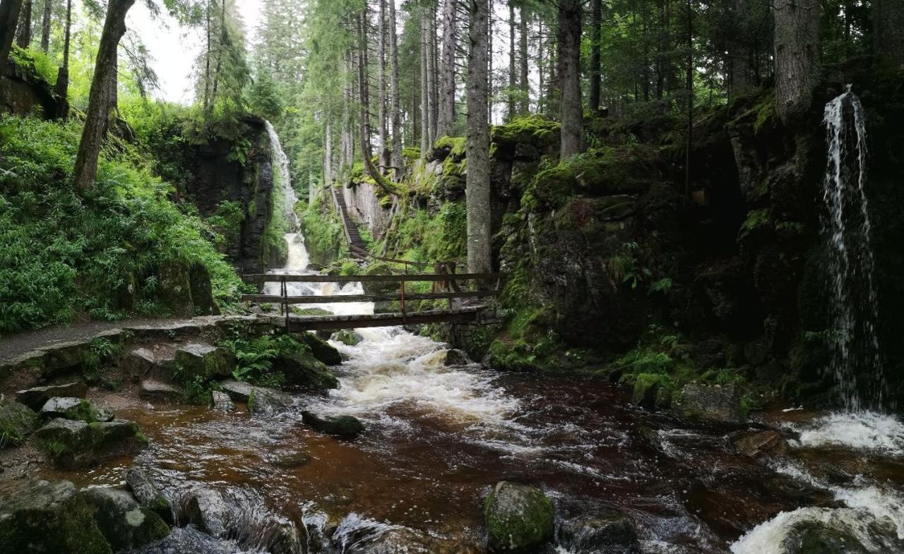 C2 Albmatte-Fewo , Hallenbad Aussenbecken Massagen Nebenan Санкт-Блазиен Экстерьер фото