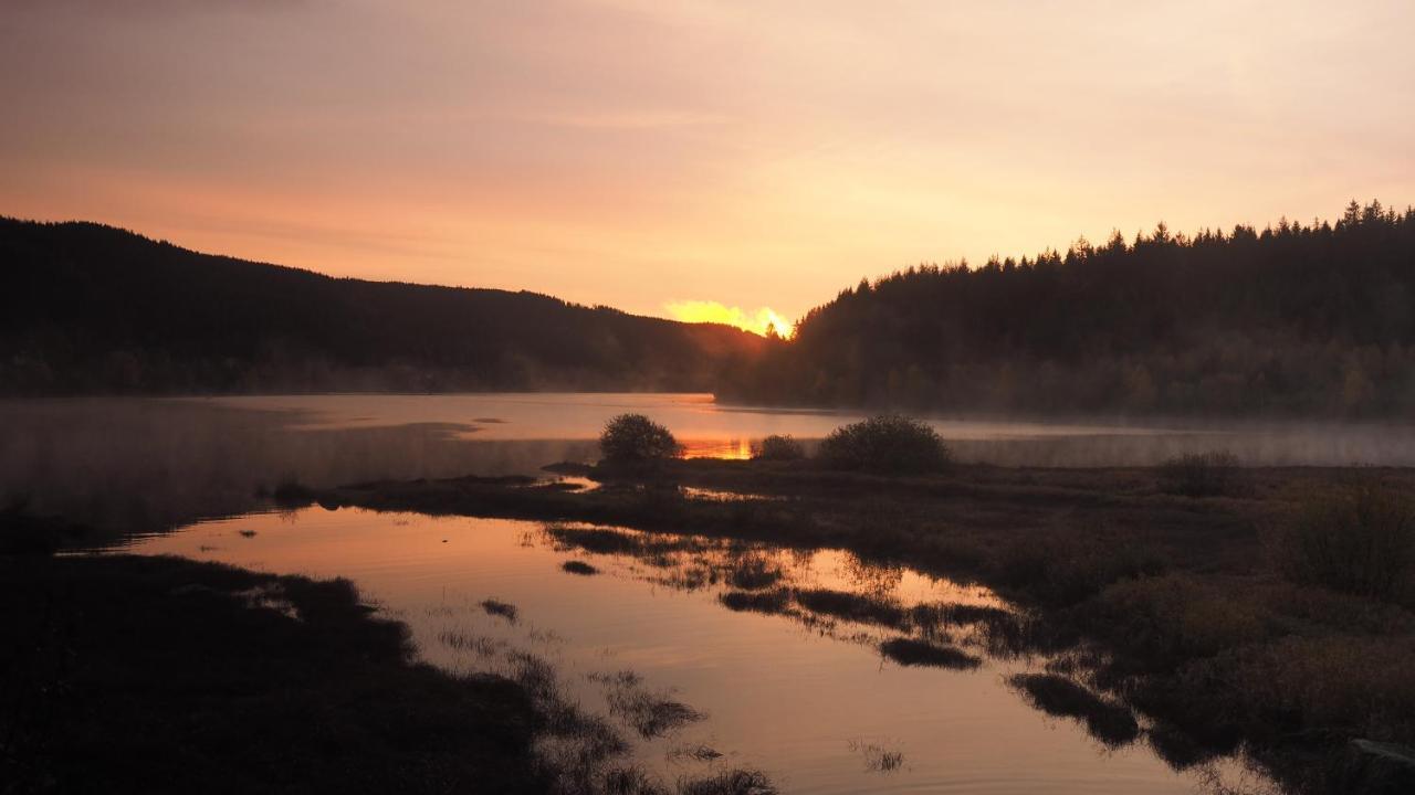 C2 Albmatte-Fewo , Hallenbad Aussenbecken Massagen Nebenan Санкт-Блазиен Экстерьер фото