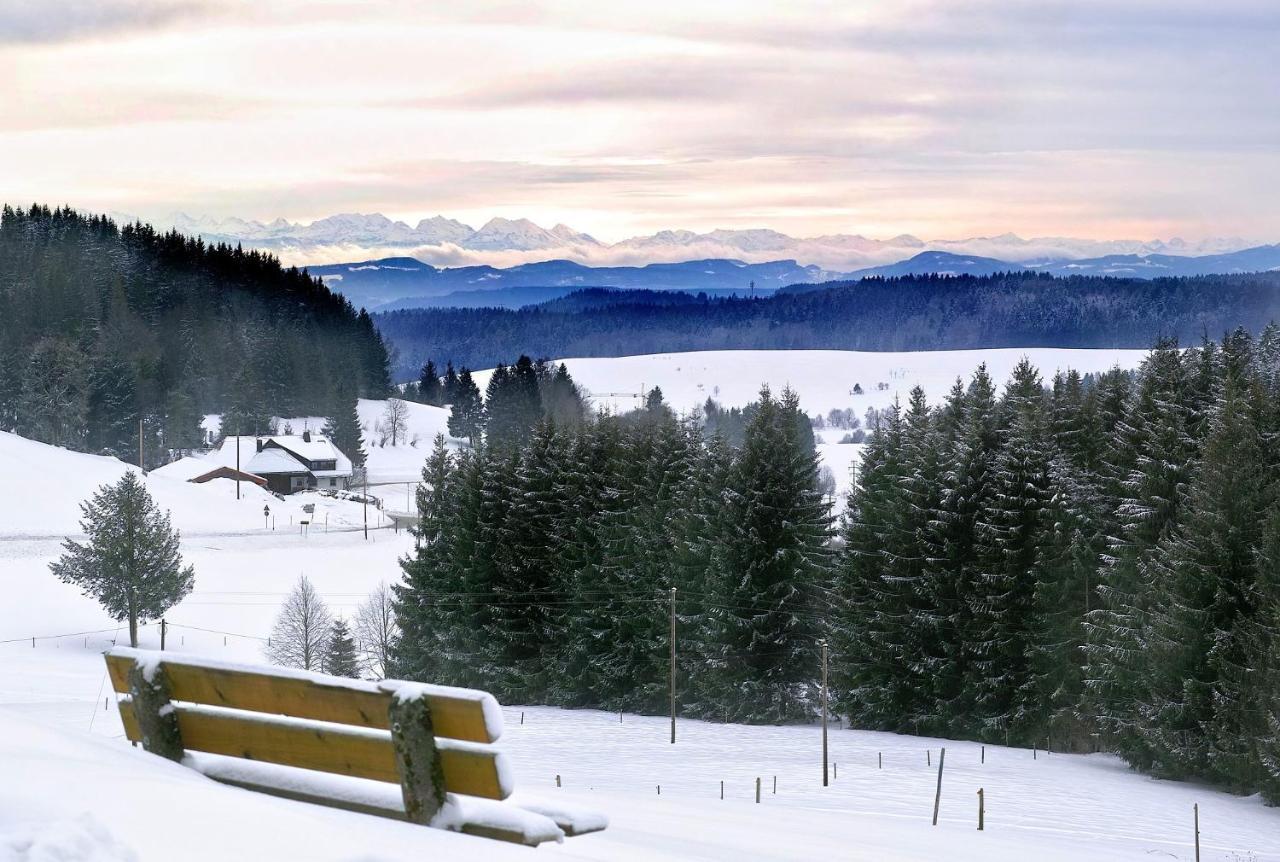 C2 Albmatte-Fewo , Hallenbad Aussenbecken Massagen Nebenan Санкт-Блазиен Экстерьер фото
