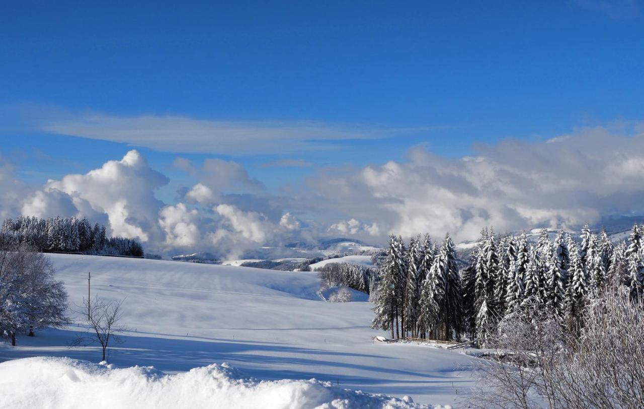 C2 Albmatte-Fewo , Hallenbad Aussenbecken Massagen Nebenan Санкт-Блазиен Экстерьер фото