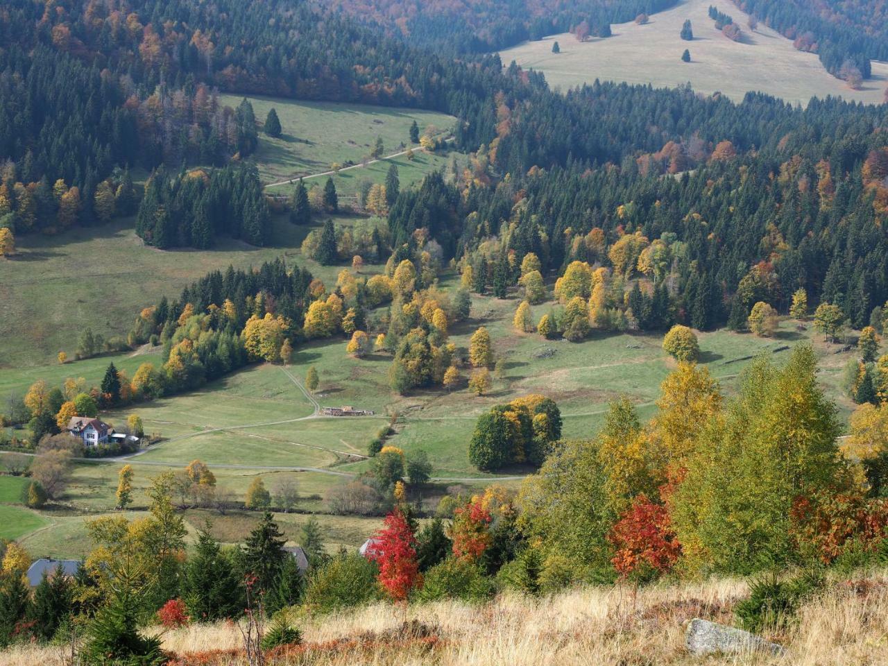 C2 Albmatte-Fewo , Hallenbad Aussenbecken Massagen Nebenan Санкт-Блазиен Экстерьер фото