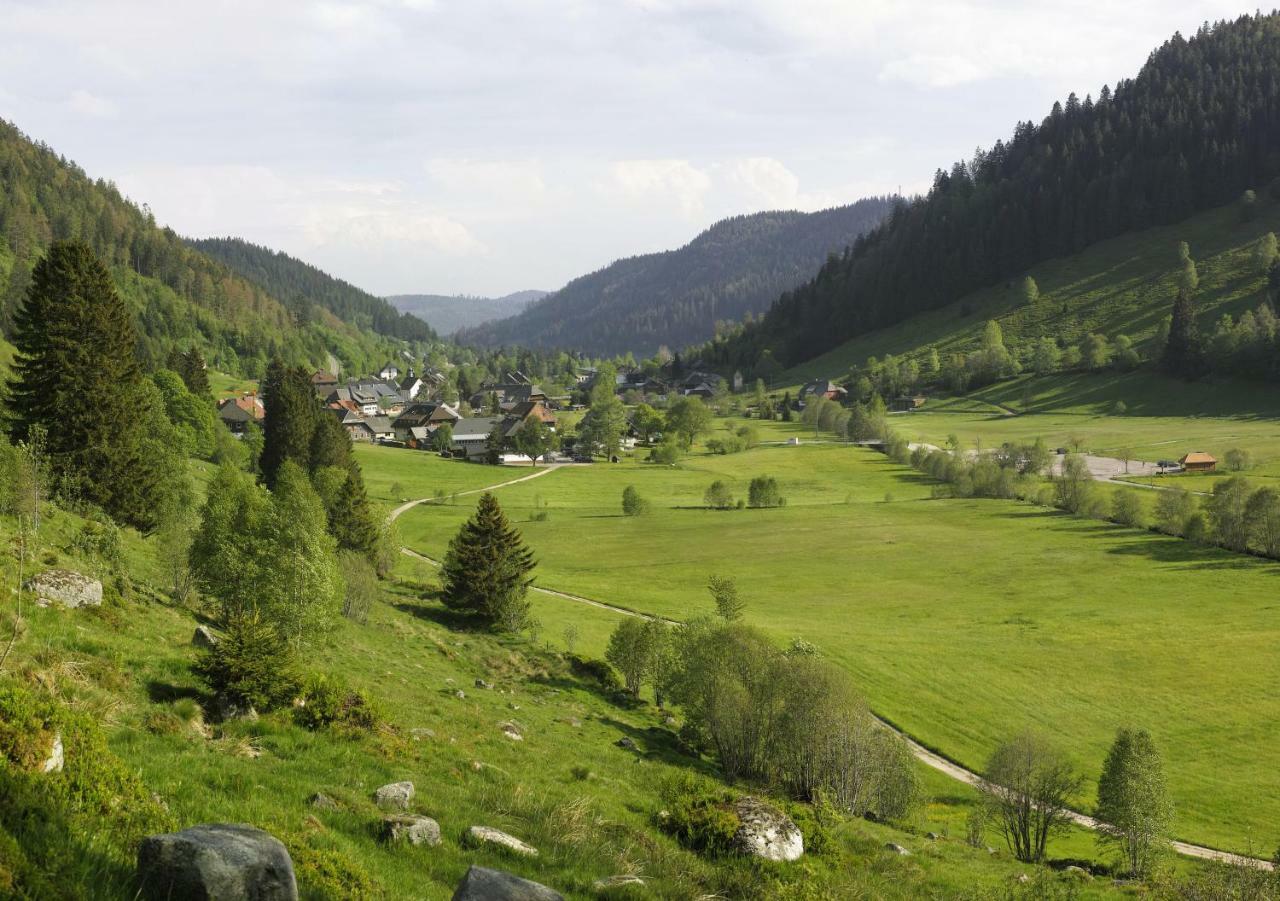 C2 Albmatte-Fewo , Hallenbad Aussenbecken Massagen Nebenan Санкт-Блазиен Экстерьер фото