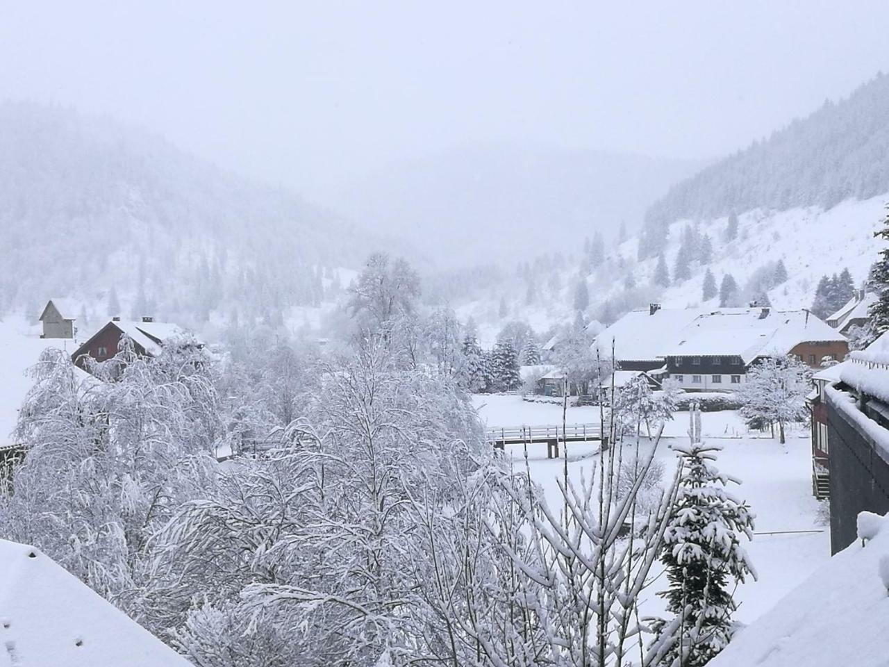 C2 Albmatte-Fewo , Hallenbad Aussenbecken Massagen Nebenan Санкт-Блазиен Экстерьер фото