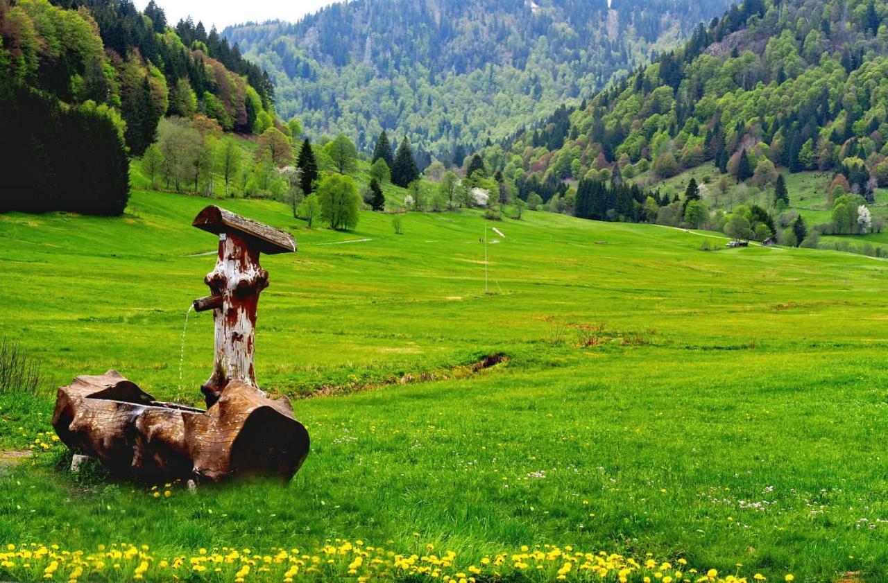 C2 Albmatte-Fewo , Hallenbad Aussenbecken Massagen Nebenan Санкт-Блазиен Экстерьер фото