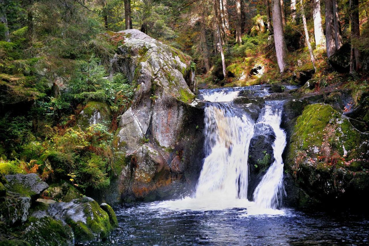 C2 Albmatte-Fewo , Hallenbad Aussenbecken Massagen Nebenan Санкт-Блазиен Экстерьер фото