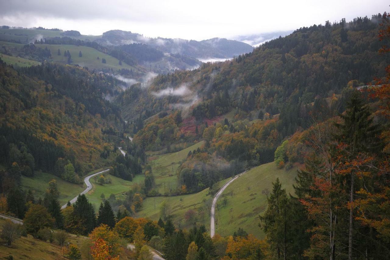 C2 Albmatte-Fewo , Hallenbad Aussenbecken Massagen Nebenan Санкт-Блазиен Экстерьер фото